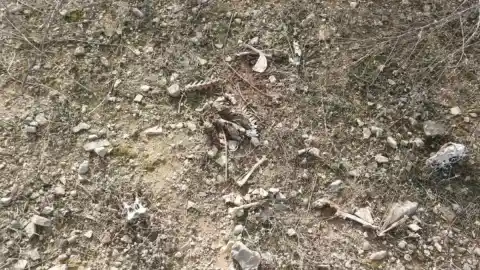 Imagen 1 de Reto visual: ¿Eres capaz de encontrar las tres diferencias en menos de 30 segundos?