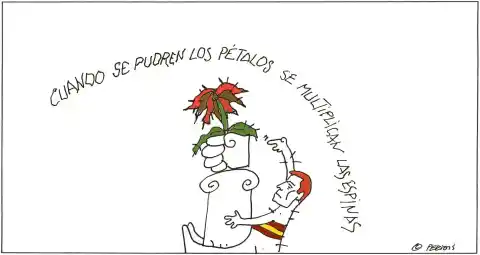 Imagen 1 de Peridis: cuando se pudren los pétalos