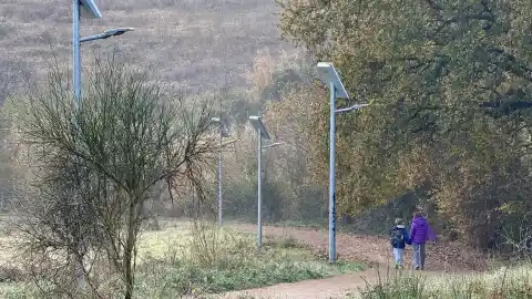 Imagen 1 de La Generalitat flexibiliza las restricciones de acceso al medio natural establecidas por la peste porcina