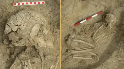 Imagen 1 de Un adolescente fue atacado por un león en Bulgaria hace 6.000 años y sobrevivió a pesar de graves lesiones en el cerebro, brazos y piernas