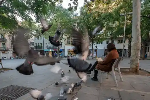 Imagen 1 de Dues Barcelones: de la memòria ferida de Rodoreda al combat de Marsé