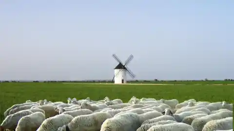 Imagen 1 de Así es Argamasilla de Alba, el pueblo manchego que reivindica ser la cuna de Don Quijote