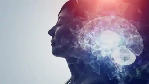 Imagen 1 de ¿Puede la neurociencia explicar el funcionamiento global del cerebro?