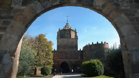 Imagen 1 de Más de 300 vides de garnacha regresan a casa 200 años después