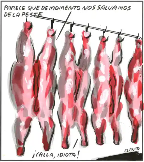 Imagen 1 de El Roto: nos hemos librado