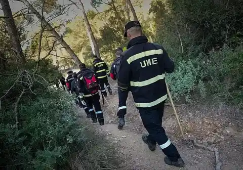 Imagen 1 de Illa asegura ahora que nada permite señalar al laboratorio de la Generalitat como origen del brote de peste porcina
