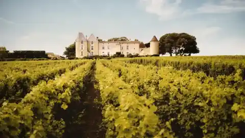 Imagen 1 de Château d’Yquem: la cosmética revolucionaria que surge del mejor vino dulce del mundo