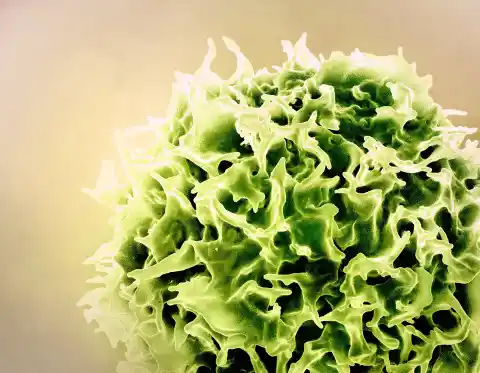 Imagen 1 de Un grupo de científicos usa las tecnologías de las vacunas de la covid para rejuvenecer el sistema imnune