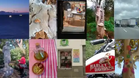 Imagen 1 de De los barcos luciérnaga al árbol psicodélico