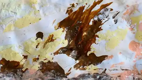 Imagen 1 de Las representaciones artísticas del águila ratonera