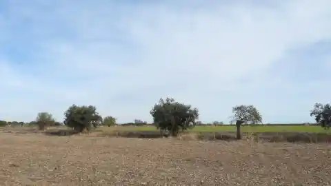 Imagen 1 de Reto visual: ¿Puedes ver la pelota en menos de 30 segundos?