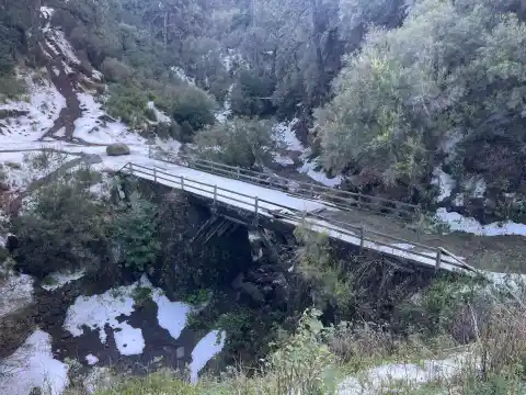 Imagen 1 de Los puentes de tea: historia de una madera canaria que sobrevive a todo y es un símbolo regional