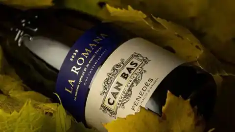 Imagen 1 de Can Bas obtiene la certificación de Vins de Finca Qualificada para cuatro de sus vinos