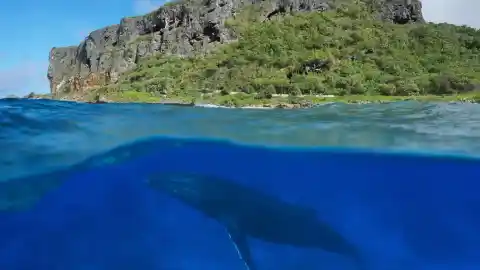 Imagen 1 de Rurutu, la impresionante isla paradisiaca que parece sacada de una película
