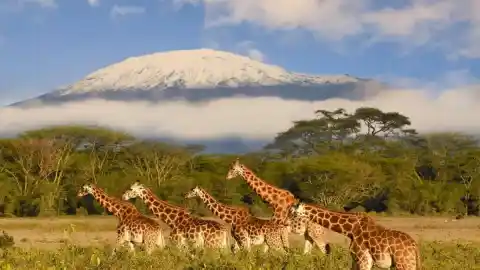Imagen 1 de Una agotadora ascensión al Kilimanjaro