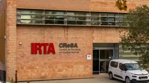 Imagen 1 de Los Mossos entran en el laboratorio que guardaba virus de peste porcina para realizar un registro sobre el brote