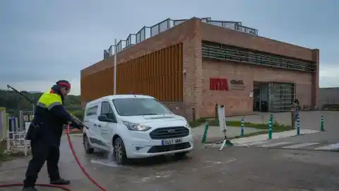 Imagen 1 de Lo que sabemos sobre el origen del virus de la peste porcina africana 20 días después