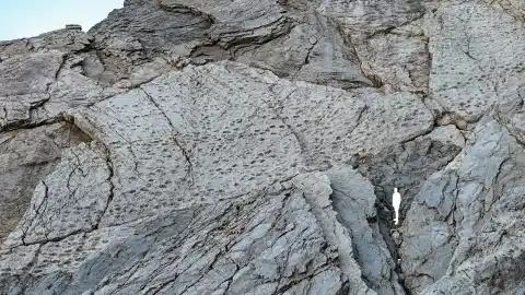 Imagen 1 de Hallan un colosal "valle de los dinosaurios" en Italia con miles de huellas fósiles