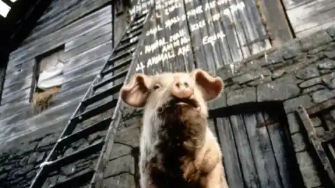 Imagen 1 de Rebelión en la granja