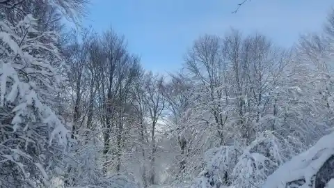 Imagen 1 de Cuatro rutas de Wikiloc con raquetas de nieve para disfrutar de la montaña en invierno