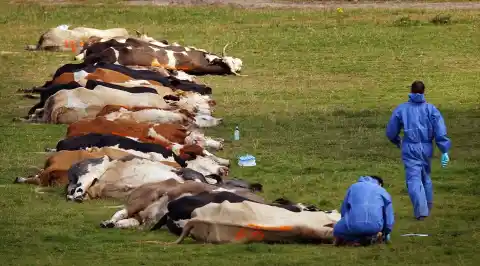 Imagen 1 de Descontrol en los laboratorios: cientos de accidentes exponen el riesgo “catastrófico” de fuga de patógenos peligrosos