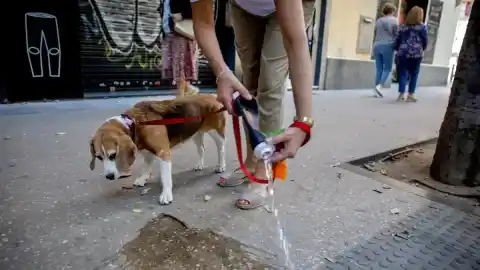 Imagen 1 de Guía para no caer en las nuevas infracciones y multas más altas de la ordenanza del civismo