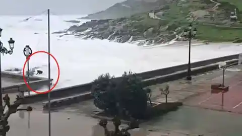 Imagen 1 de El angustioso momento en el que una mujer de 85 años es engullida por un golpe de mar mientras hacía fotos