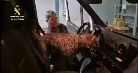 Imagen 1 de La mala suerte de Julián, el jubilado que murió apuñalado cuando cambiaba el aceite de su tractor en Toledo