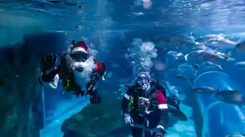 Imagen 1 de Protestas en Asia, conflictos en Oriente Medio y más imágenes del día