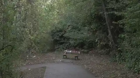 Imagen 1 de Los cuatro acusados de violar a una joven en una fiesta en Pamplona salen en libertad tras las pruebas de ADN