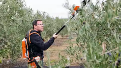 Imagen 1 de Día de campo, fútbol y ofrenda a la virgen para los candidatos de las elecciones extremeñas