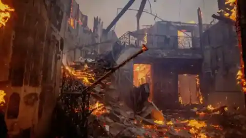 Imagen 1 de Estas son las imágenes más bonitas de la ciencia en 2025 según la revista Nature