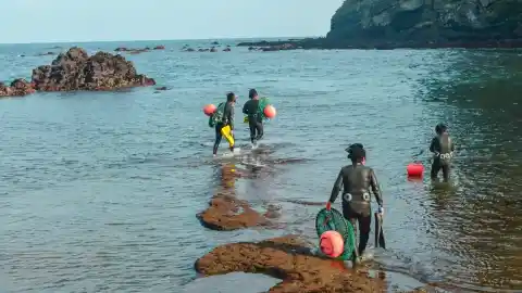 Imagen 1 de Así son las mujeres haenyeo: las últimas 'sirenas' de la isla de Jeju que bucean a pleno pulmón para recolectar productos del mar