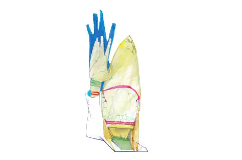 Imagen 1 de María Guardiola, la baronesa que negó a Vox y acabó engordándolo