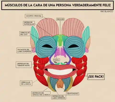 Imagen 1 de Riki Blanco: los músculos de la felicidad