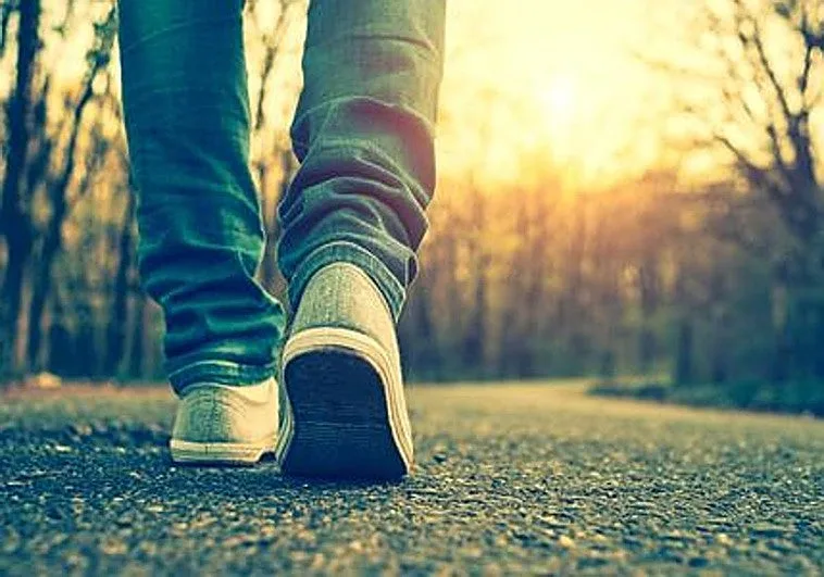 Imagen 1 de Arthur Brooks, 'gurú' de la felicidad en Harvard: «Caminar es una de las mejores cosas que puedes hacer para reducir la ansiedad»