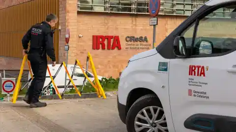 Imagen 1 de La auditoría encargada por el Govern avala que el CReSA es "seguro": "No hay evidencia de que haya salido la peste porcina de ahí"