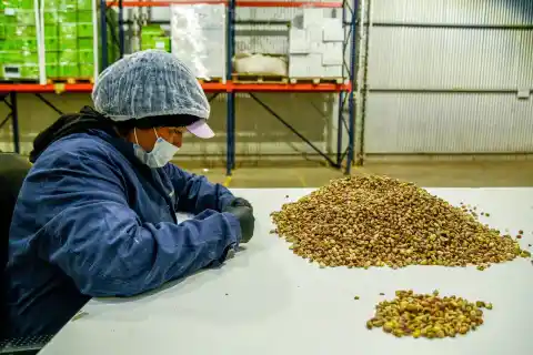 Imagen 1 de El auge del pistacho en Argentina choca con la crisis del agua