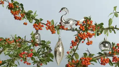 Imagen 1 de Caprichos navideños