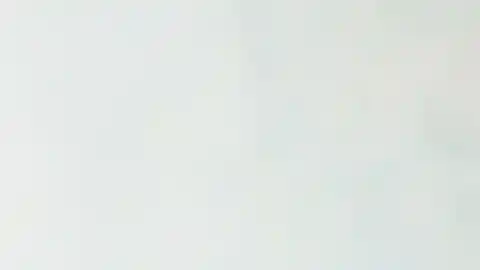 Imagen 1 de Aprende a crear deliciosas copas de chocolate rellenas de mousse de clementinas