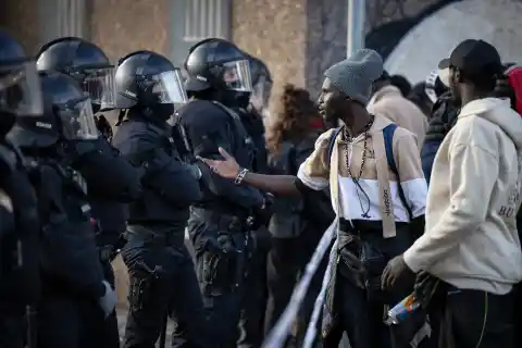 Imagen 1 de Albiol y el cultivo de la rabia