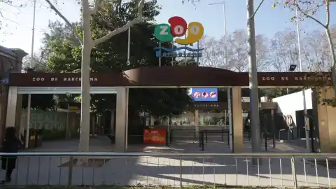 Imagen 1 de Barcelona congela la mayoría de los precios pero encarece el Bicing y la entrada al Zoo