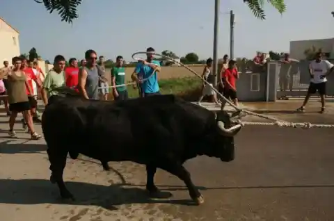 Imagen 1 de La Generalitat abre expediente al Ayuntamiento de la Ràpita por organizar un congreso sobre ‘correbous’