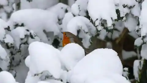 Imagen 1 de La Navidad más fría de los últimos 15 años irá acompañada de lluvia