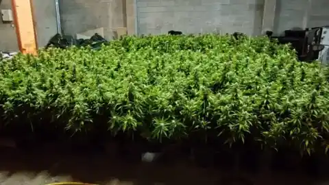 Imagen 1 de Condenado a casi cuatro años de cárcel por transportar en una embarcación 1.200 kilos de cannabis