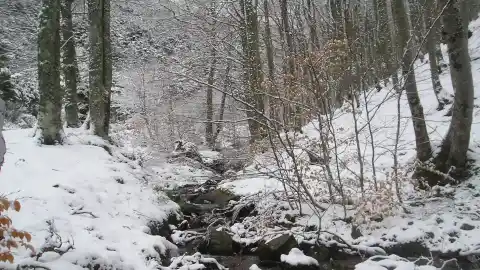 Imagen 1 de Rutas por los paisajes más navideños de Burgos: nieve, bosques y acebos
