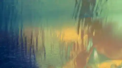 Imagen 1 de El alumbramiento del fenómeno Komorebi