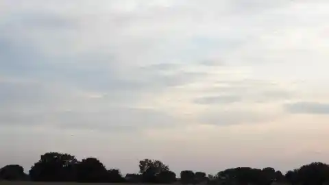 Imagen 1 de Reto visual: ¿Eres capaz de ver el ala delta?