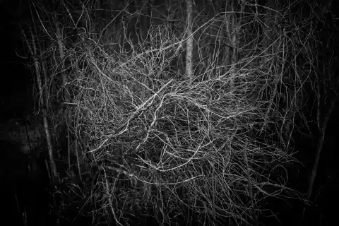 Imagen 1 de ‘El fondo marino’