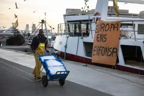 Imagen 1 de Los pescadores españoles bloqueados por la normativa europea: “Queremos que nos dejen trabajar, no subsidios”